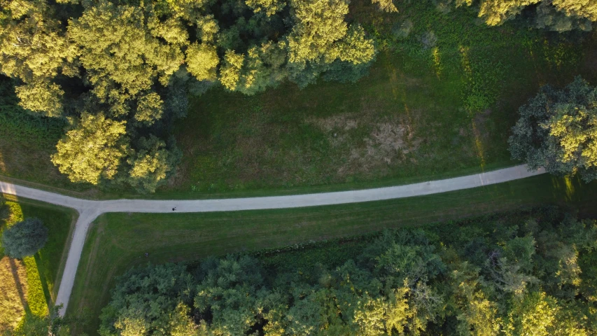 aerial view of two roads through the trees