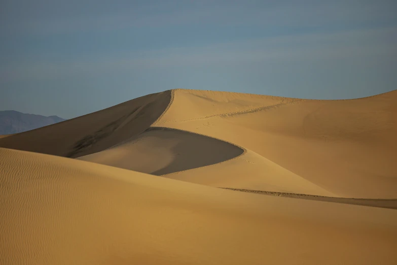 some very large, flat brown sand dunes