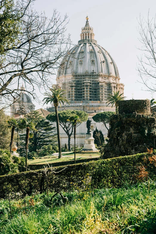 trees in front of an ornately shaped building with many windows