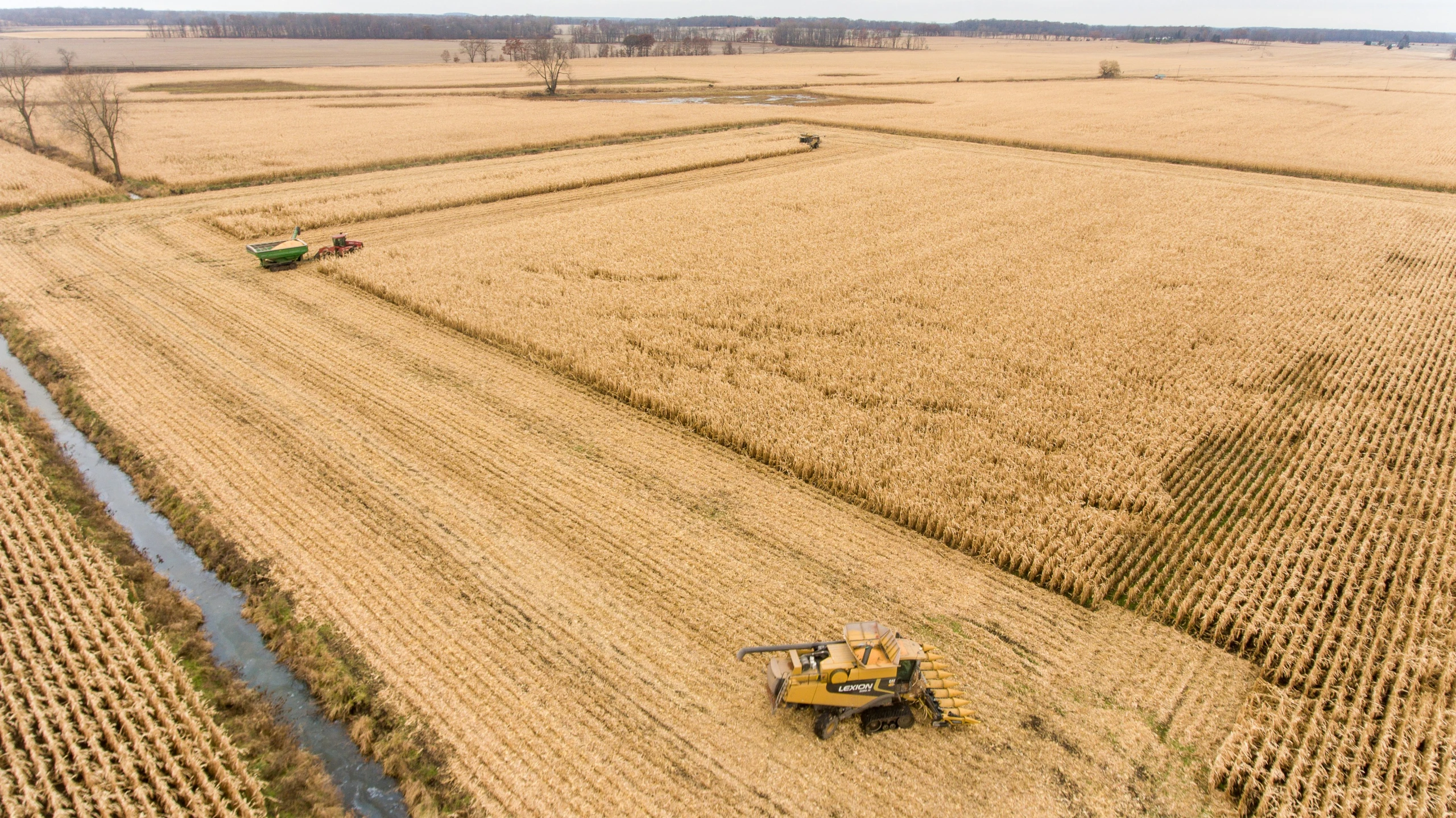 a crop tractor harvesting corn in an open field