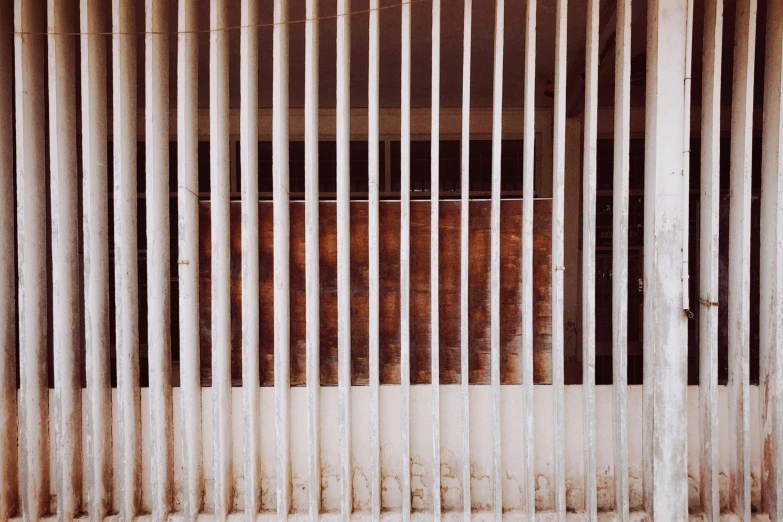 the brown bear is walking through a building