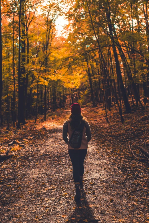 a woman walking through a forest with lots of trees