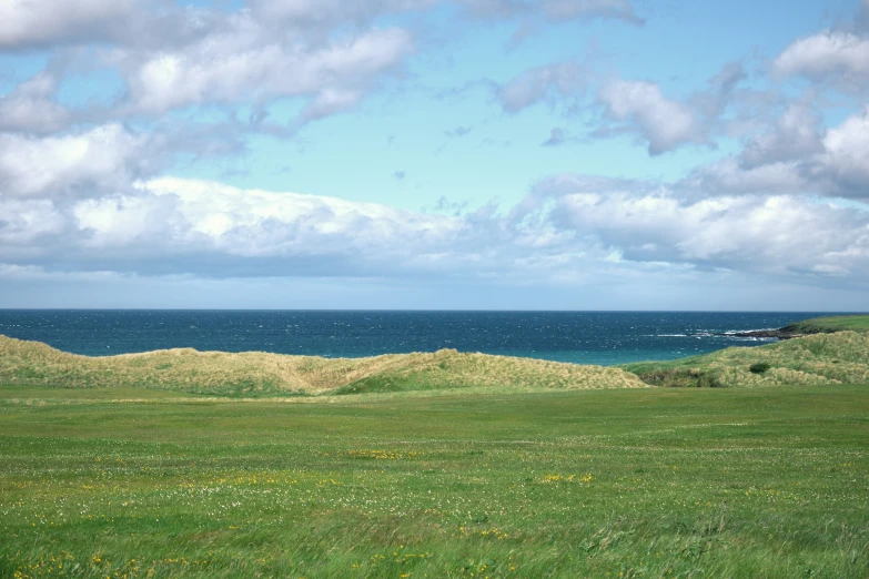 a picture of a pasture with some water in the background