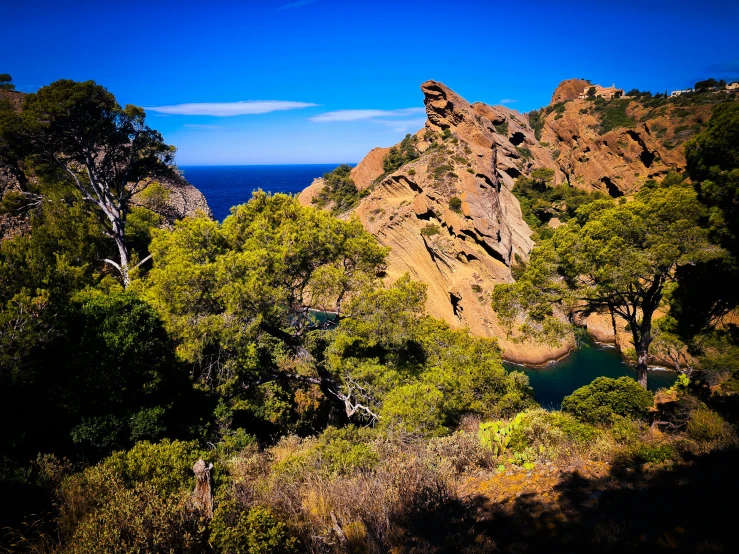 a forest covered hillside with some trees near water