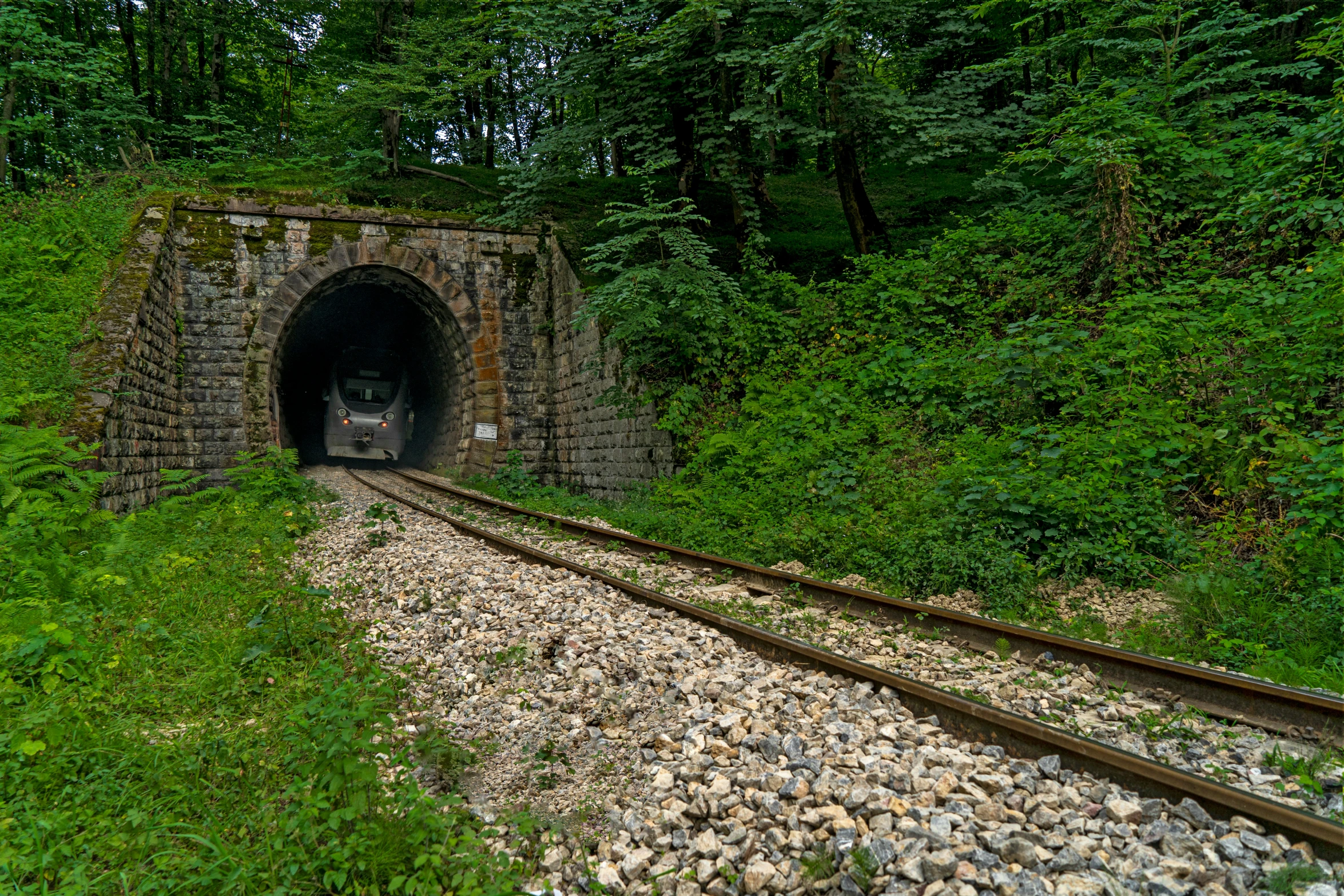 a view of the entrance to a tunnel from inside the train tracks