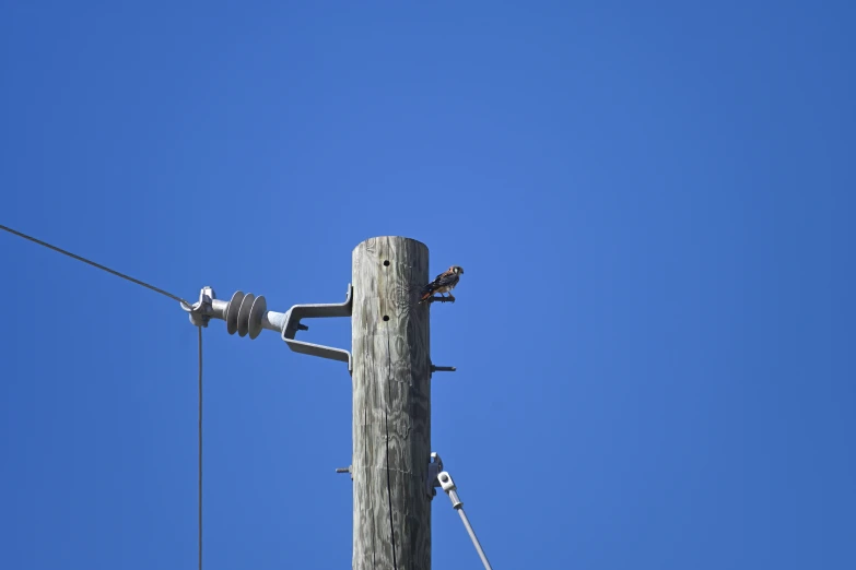 power lines that have just been replaced by the power line