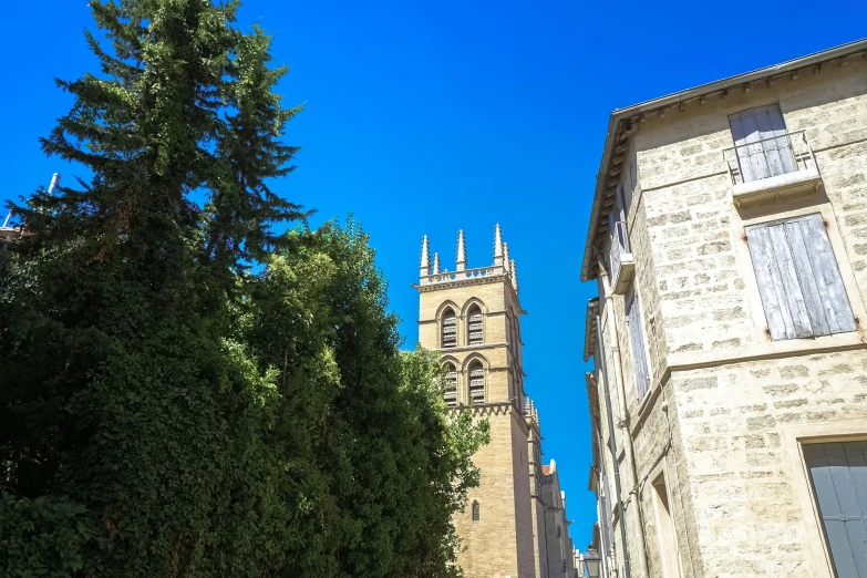 an image of a street and building with trees in the foreground