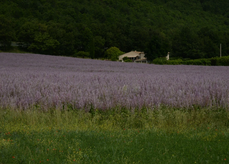 a rural scene in a rural area with a house in the middle