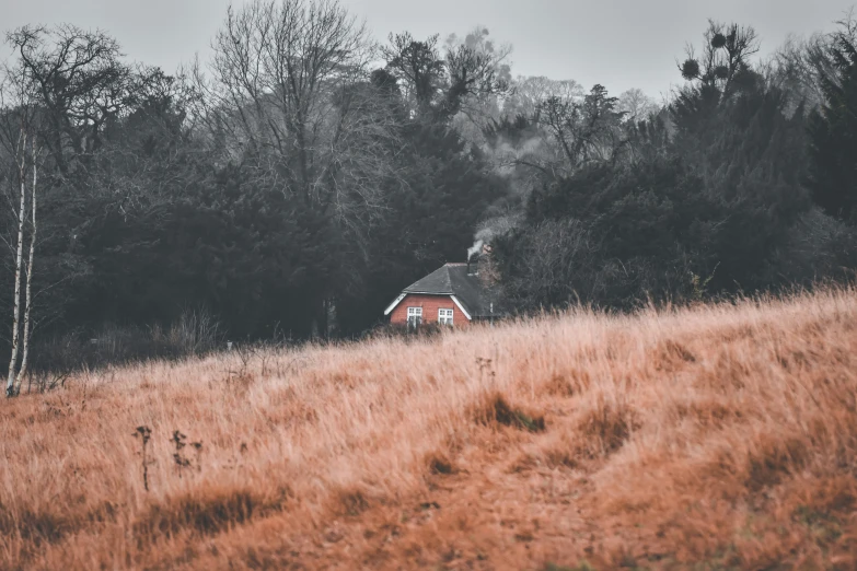 a red building in a field with trees behind it