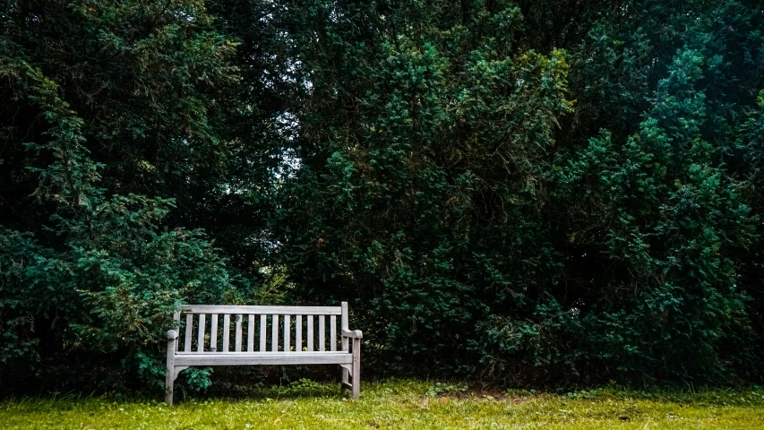 a bench in the middle of a grassy field with trees in the background