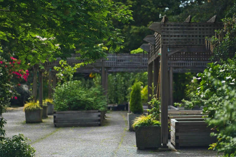 wooden arbors surrounded by flowers and trees