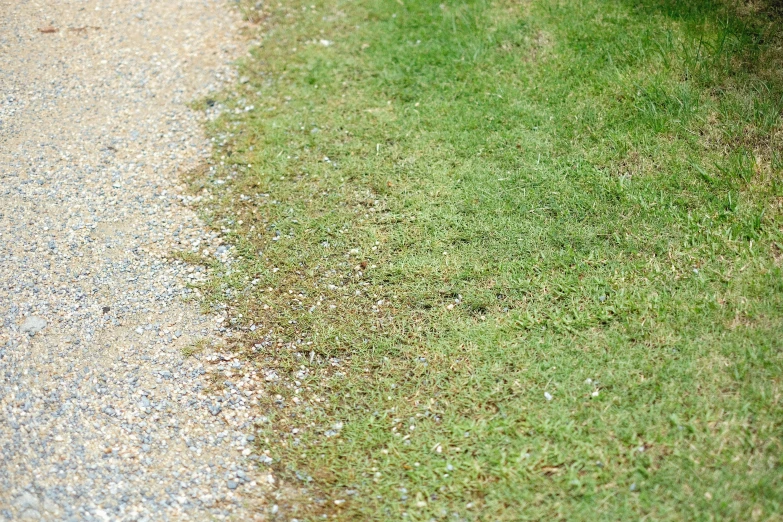 two road sections showing green and brown grass