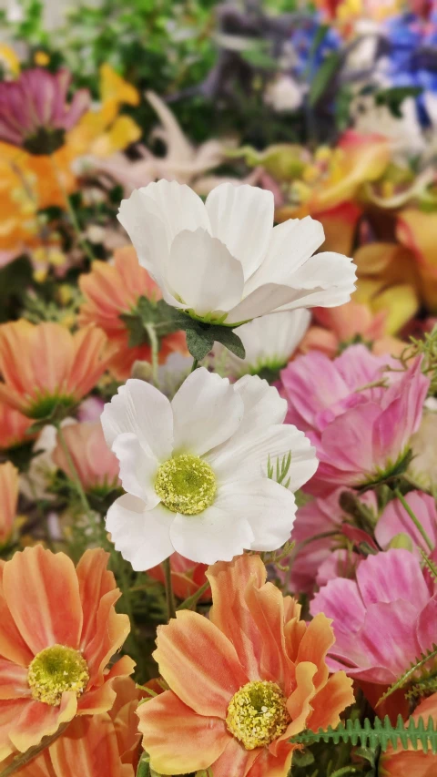 an image of several different flowers in a bouquet