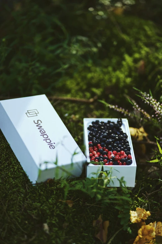 a white box on the grass near a berry