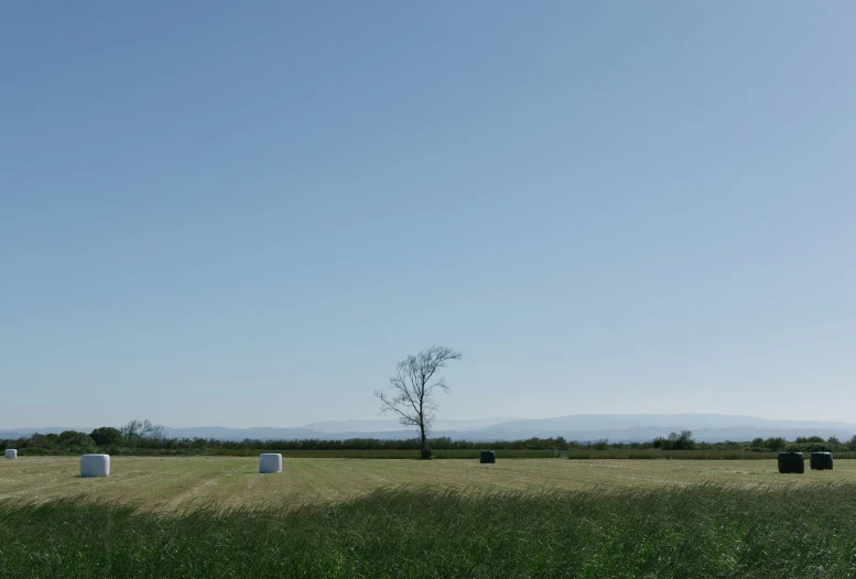 a farm field with bales of hay