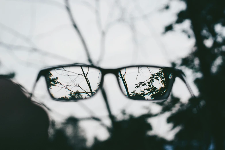 a pair of glasses with trees reflected in the lenses