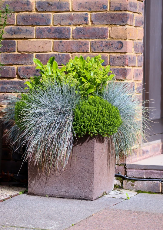 a brick planter filled with grass and bushes