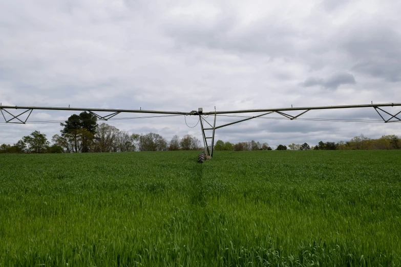 power lines and wires are connected in the grass