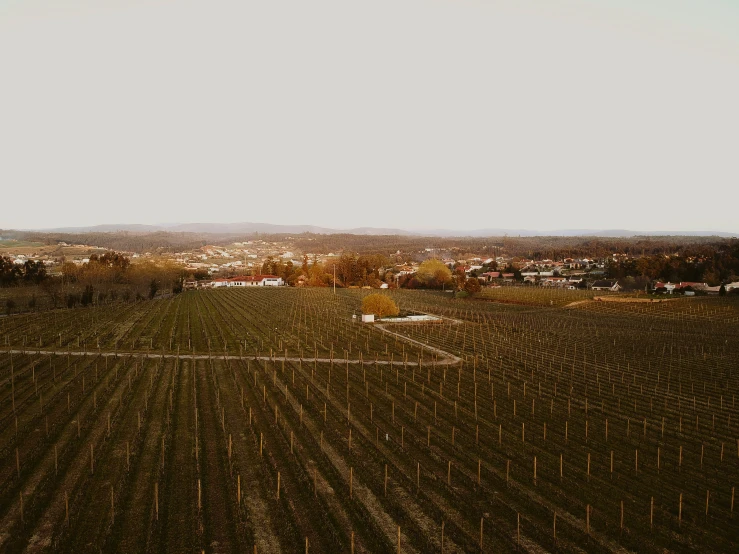 an aerial view of a very big field