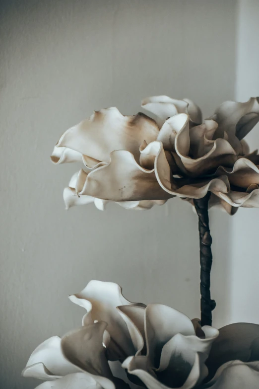 a vase with some white flowers in it