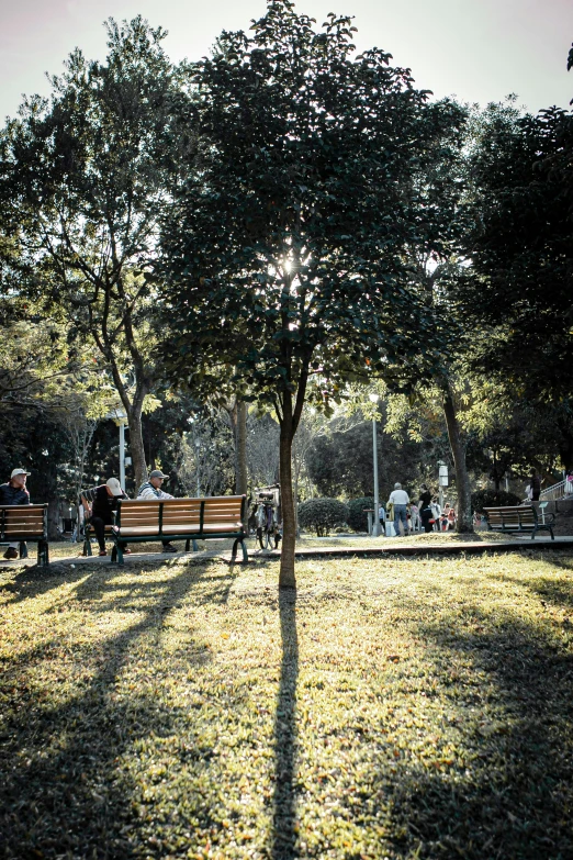 several people walking near a wooden park bench