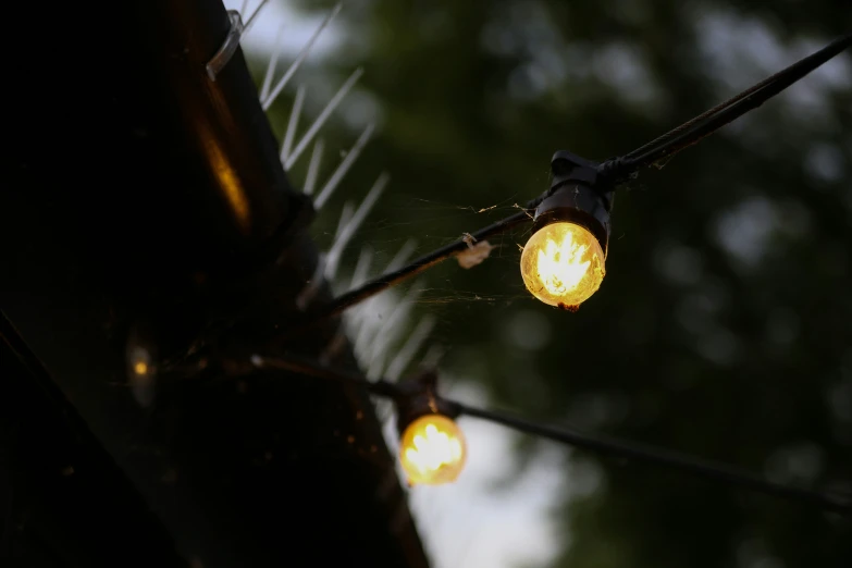 two lights that are sitting on a pole