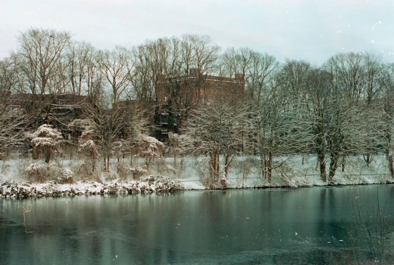 a large body of water surrounded by snow covered trees