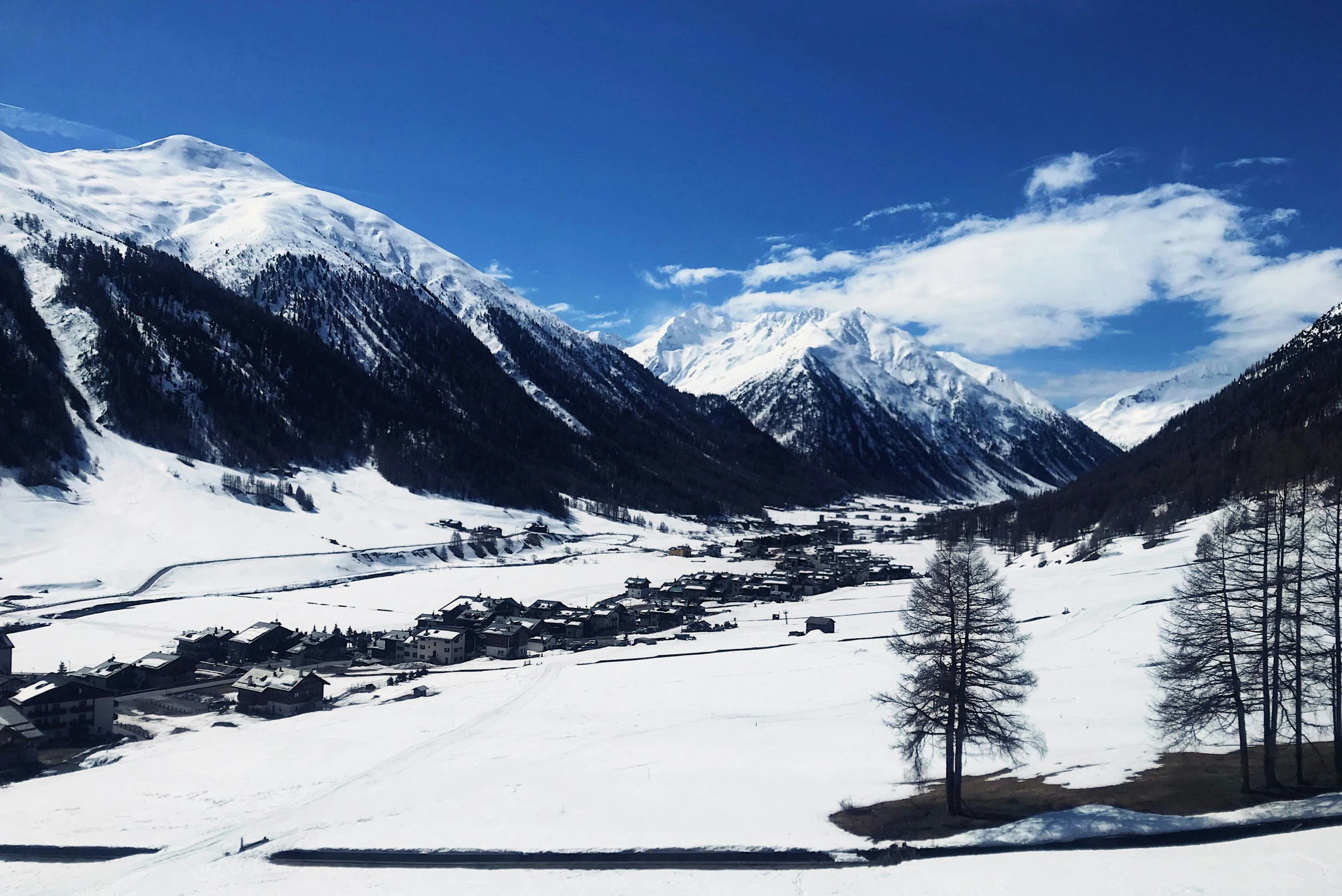 a snow covered mountain with a village and some trees