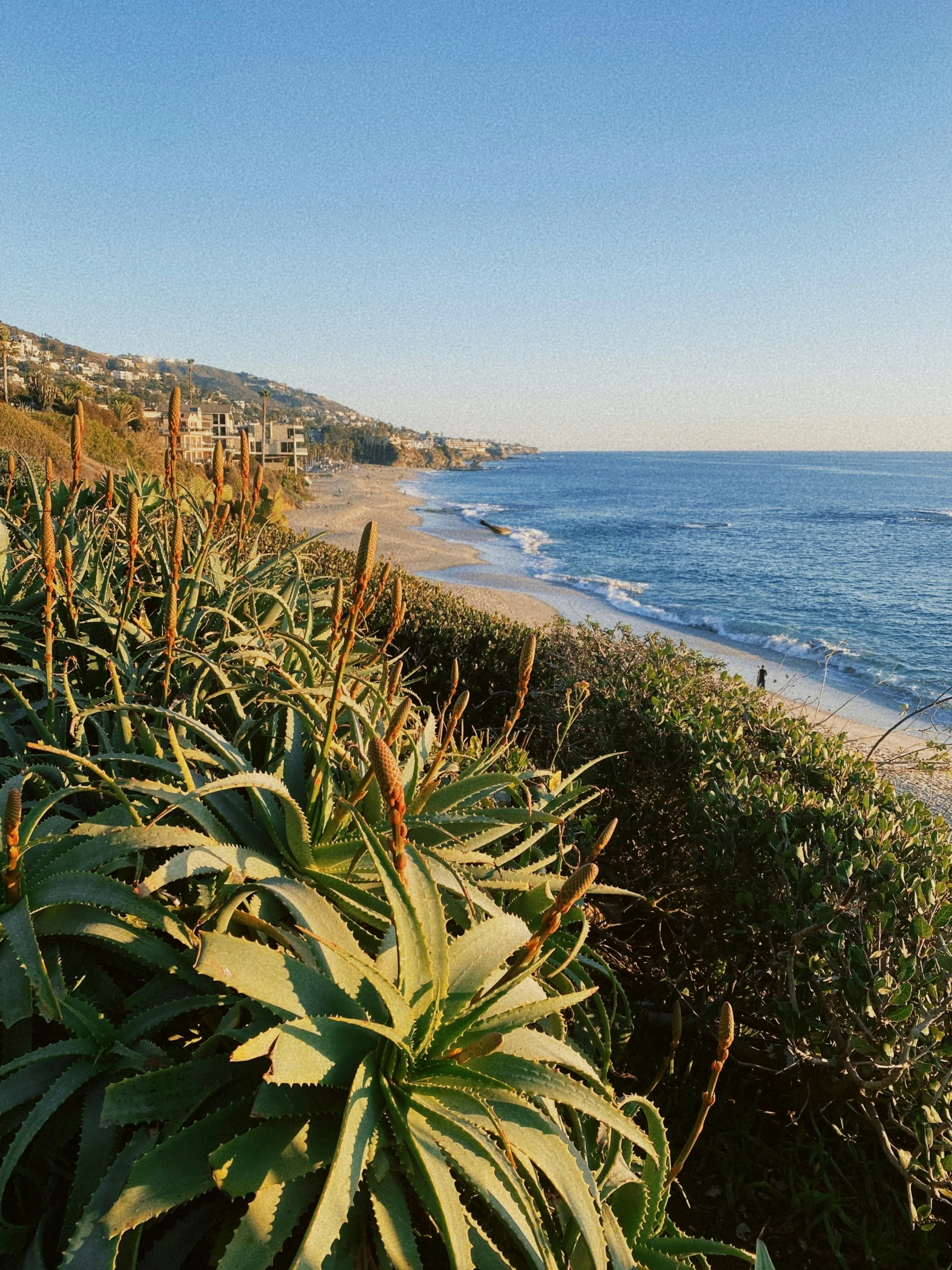 a blue ocean is seen in this picture