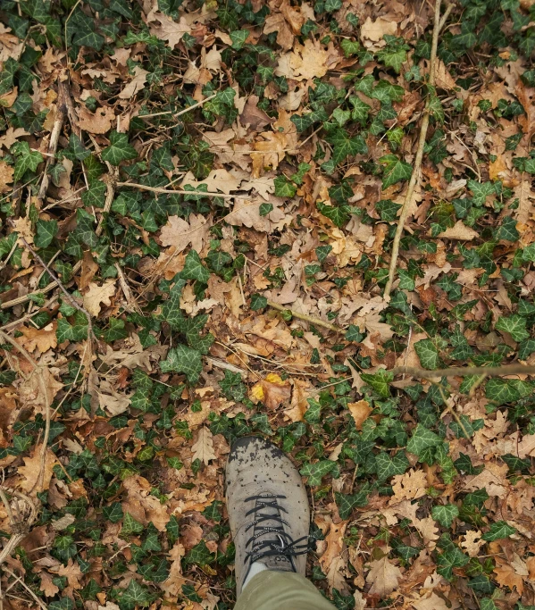 feet sticking out of a leaf covered area