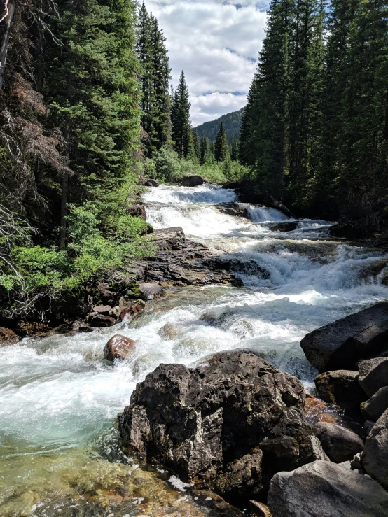 water coming down the side of a creek surrounded by trees