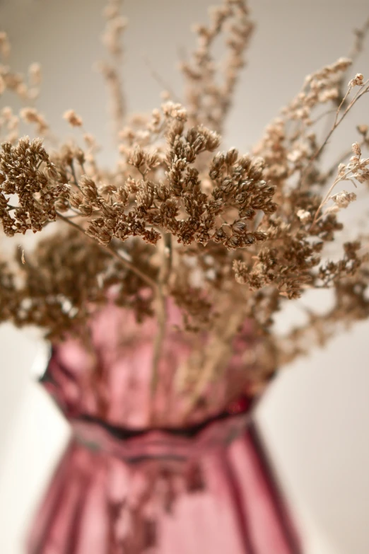 dried flowers and nches sitting in a pink vase