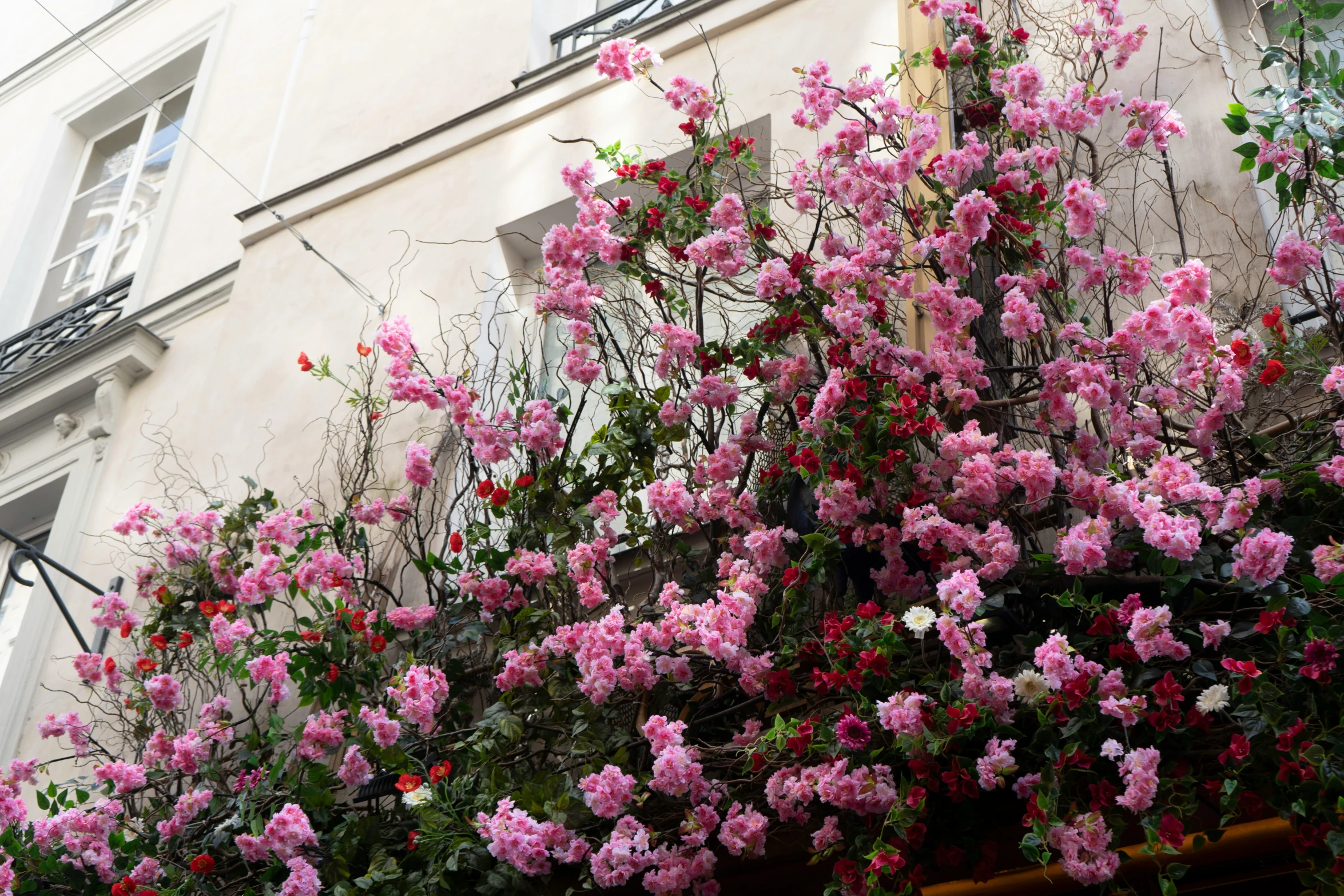 a building with pink flowers and a clock on it