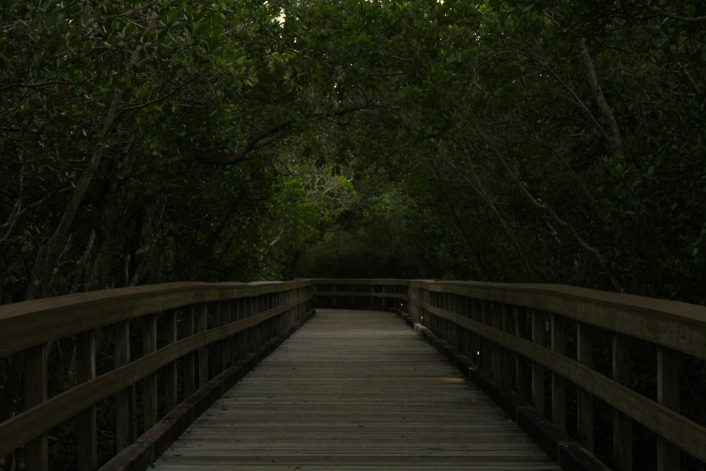 the bridge has wooden railings, and is lined with trees