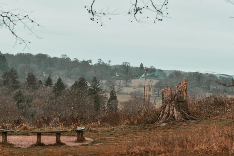 this picture shows the landscape outside the park