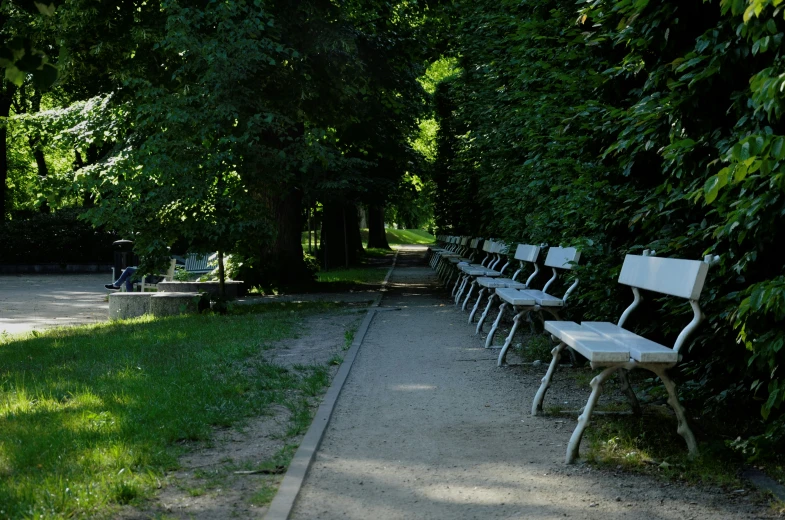 several white park benches in front of a tree lined walkway