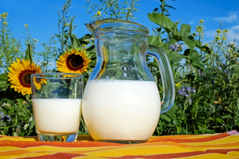 a pitcher of milk and a glass of milk are sitting on the table