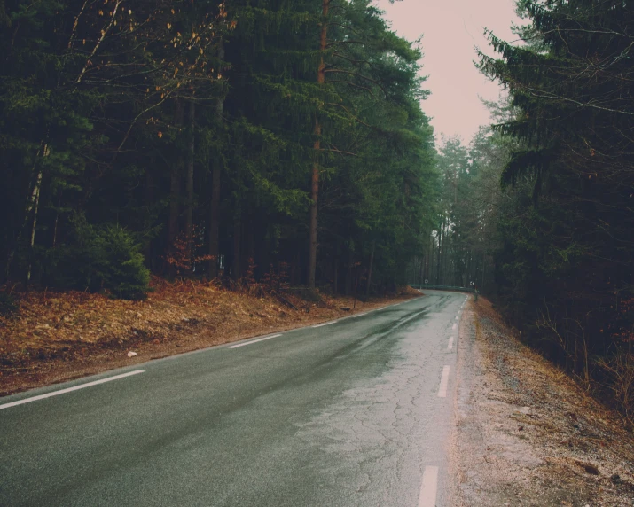 an empty road surrounded by tall trees in the middle of the woods