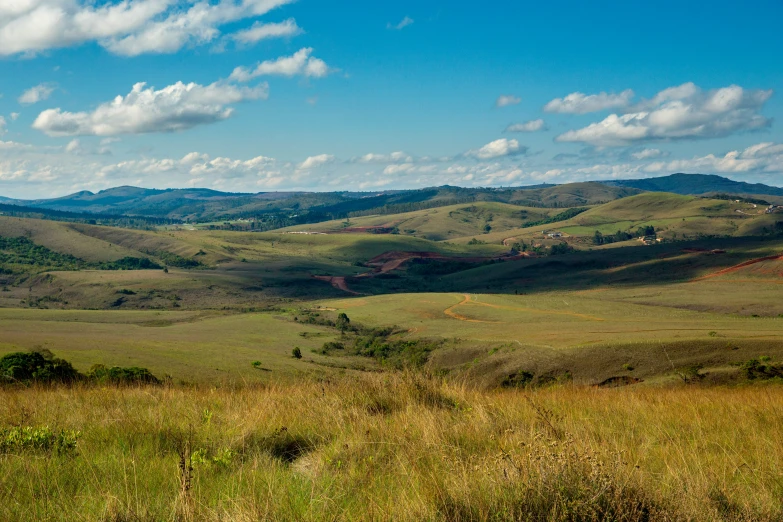 a grassy field sitting below a blue sky