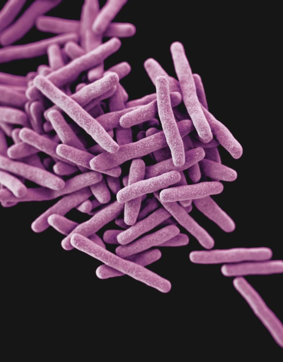 a purple tube of contrapsils against a black background