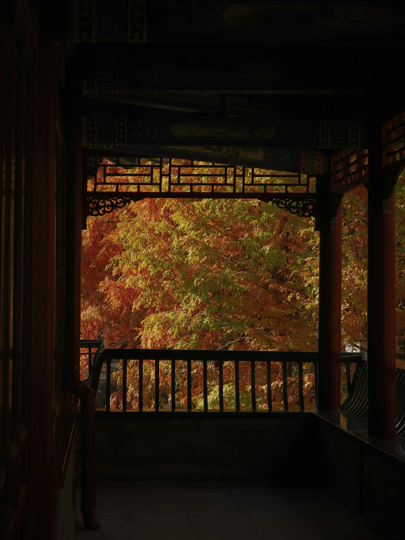 some very pretty colorful trees in the distance