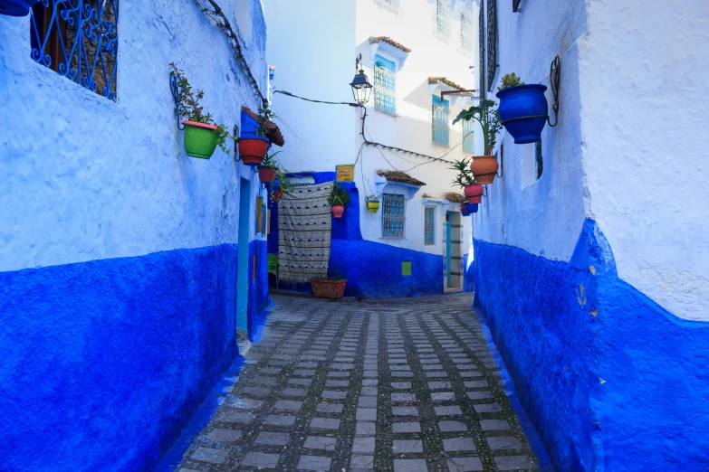 the alley is blue and white and has potted plants