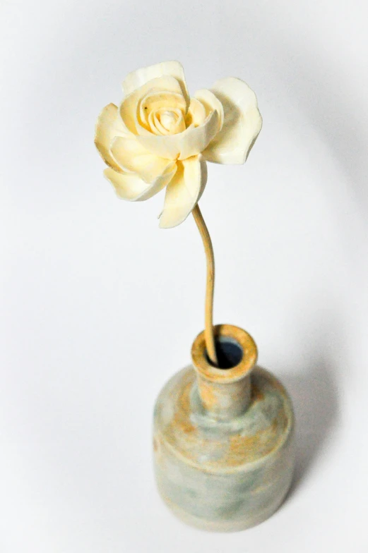 a small white rose is in a cream colored vase