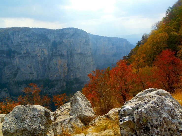 view of mountains with colorful trees on it from a high viewpoint