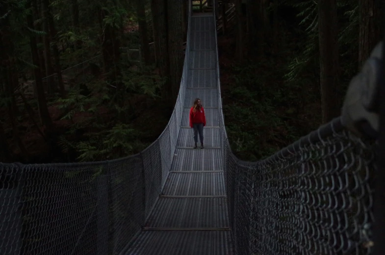 a person walking across a rope bridge surrounded by trees