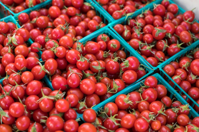 a large display of tomatoes is displayed on the counter