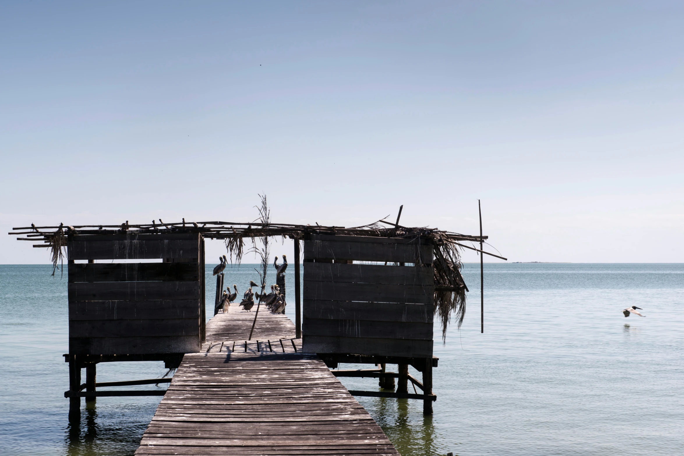 a wooden dock is next to the ocean