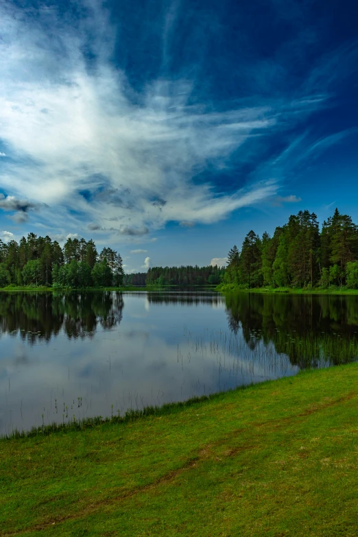 a couple of birds are sitting in a grassy field next to the water