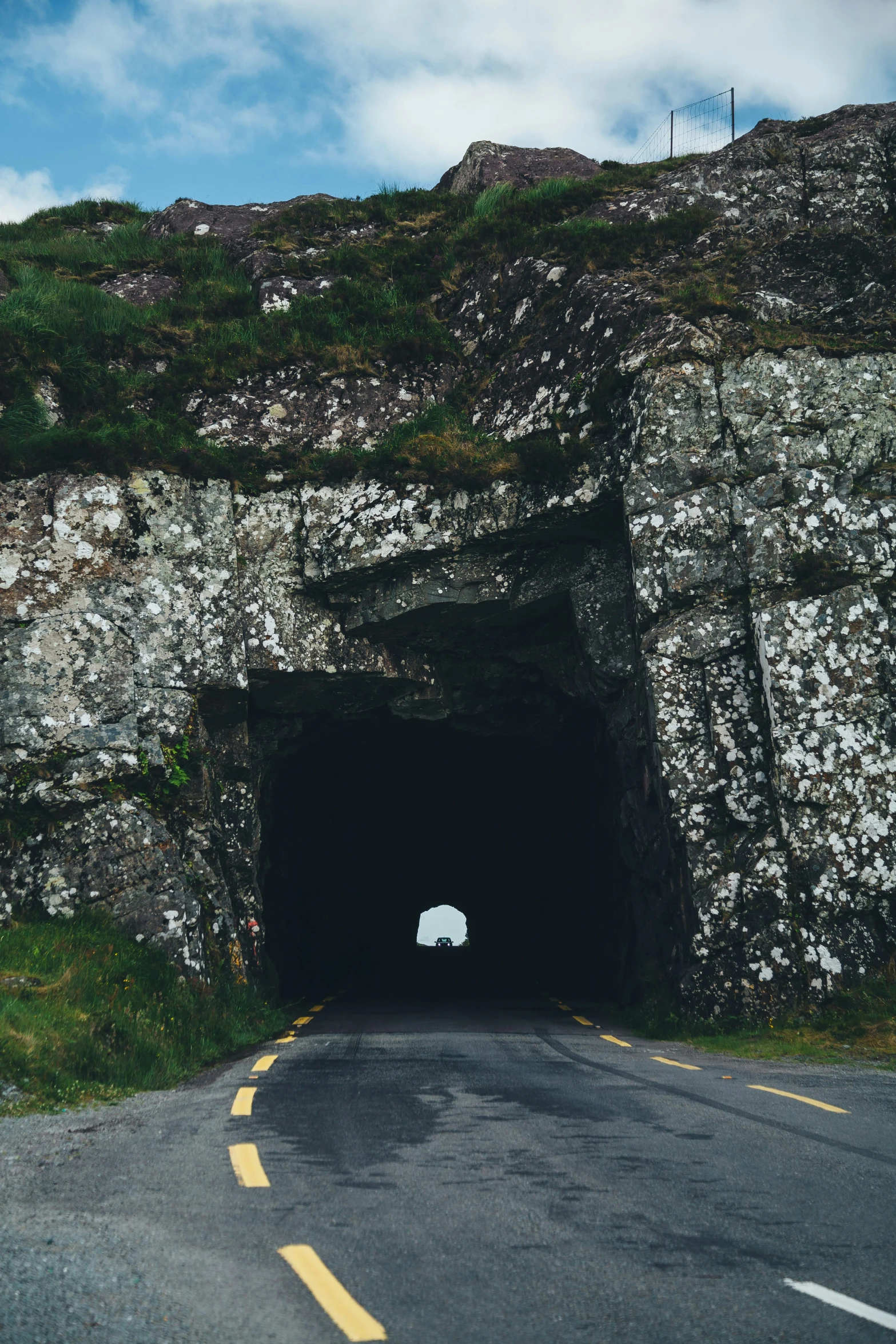 a sheep walks into a road tunnel