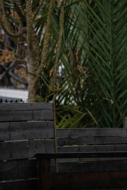 a bird sitting on the back of a wooden bench